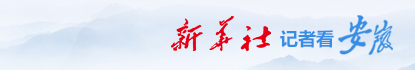 z66体育社记者看安徽